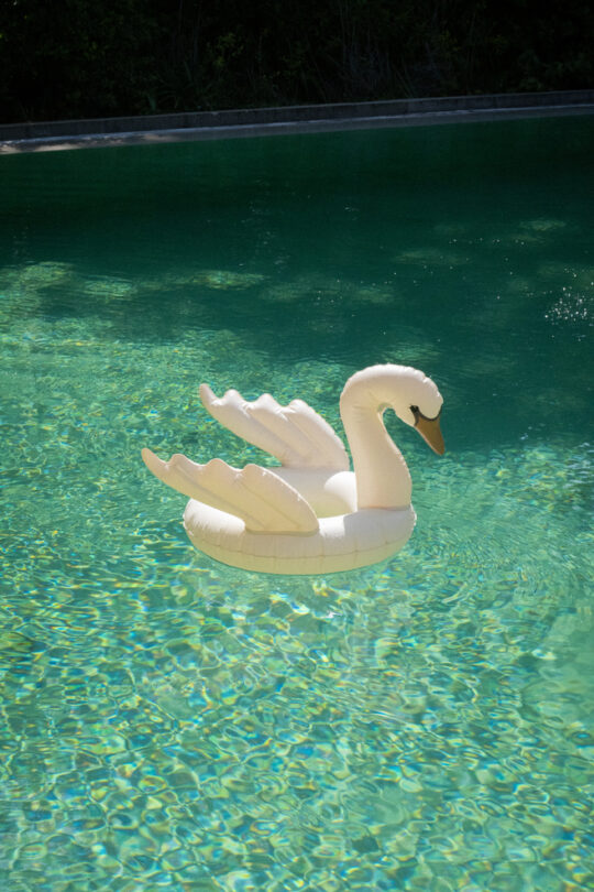 Konges Sløjd Schwimmring *Schwan* Wasser